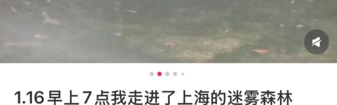v体育-上海：入冬以来最强雨雪冰冻将袭！网友：没见过这么大雾，路口竟看不到红绿灯！